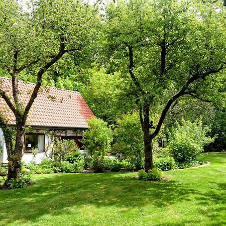 Kleines Haus Villa Гандеркезее Екстериор снимка